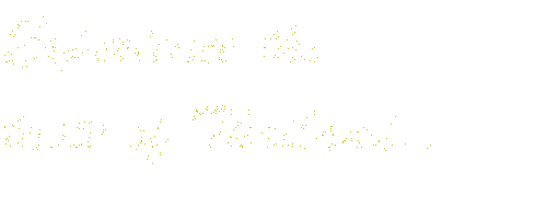 experience3.gif (54693 bytes)